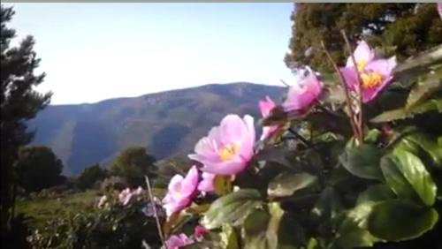 Stellaria casa vacanze in montagna panorama stupendo Sardegna