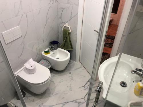 Apartment in Central Tirana / Myslym Shyri Str.