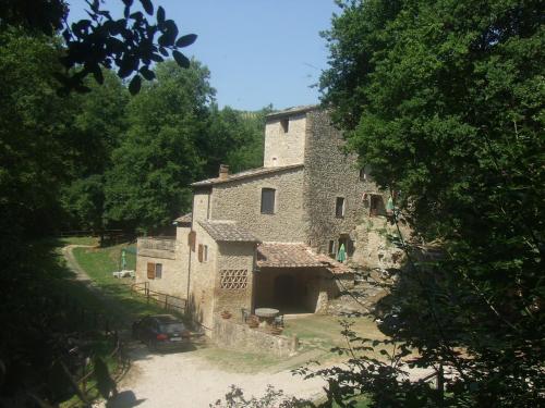 Podere il Vecchio Mulino - image 5