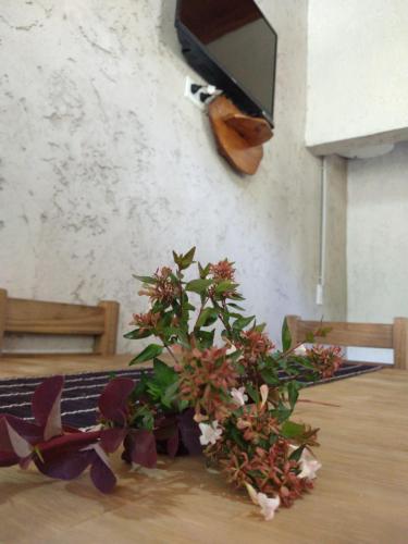 El Amanecer in Santa Rosa De Calamuchita