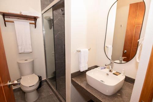 320286246 Hotel Danini