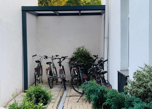 Hotel am Freihafen 5