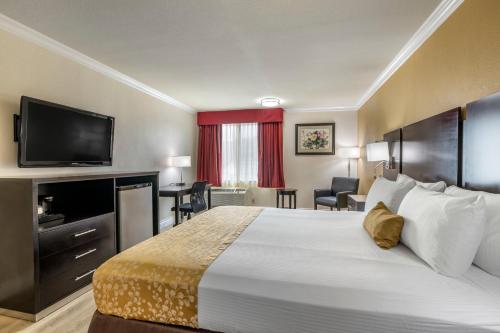Best Western Plus South Bay Hotel - image 6