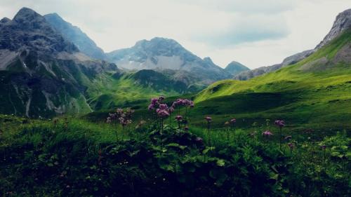 Erholsamer Traumurlaub wo auf Bergen Schlößer wachsen