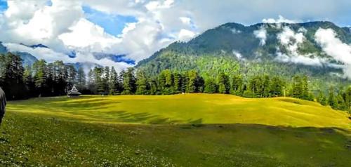 Mysterious meadows