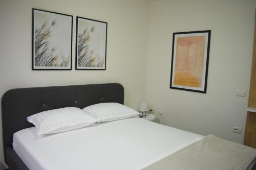Feels Like Home Studio Apartments - FLH Albania, Tirana (photo 4)
