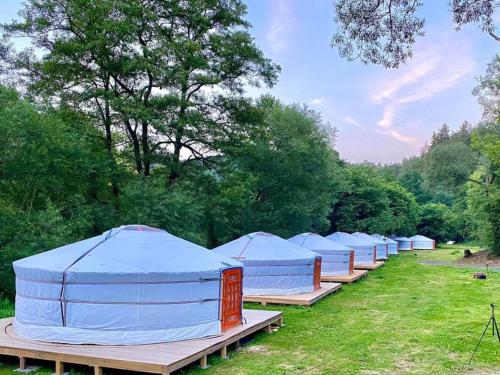 Mongolian Yurt Camp