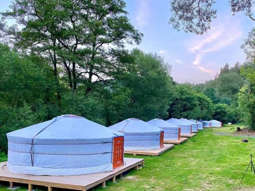Mongolian Yurt Camp - Hotel - Český Šternberk