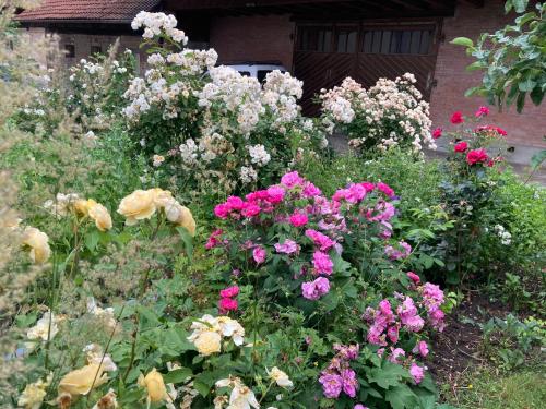 B&B Perron13 in Murten, Schweiz