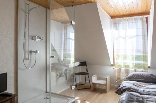 Hôtel du Cheval-Blanc (Hotel du Cheval-Blanc) in La Chaux-de-Fonds