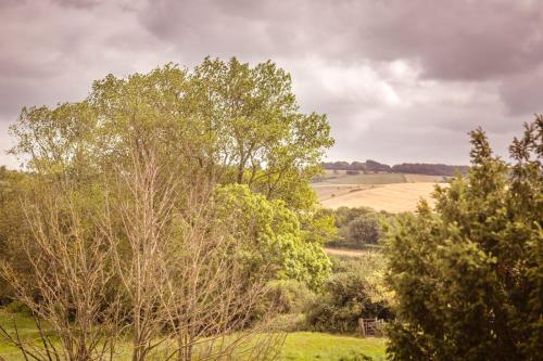 Riverbank Cottage - idyllic riverside country cottage on South Downs