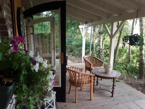 Terraza/balcón, de Zeilende kraay in Arnhem