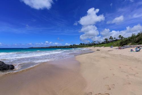 Kapalua Golf Villa 22T8 - image 13