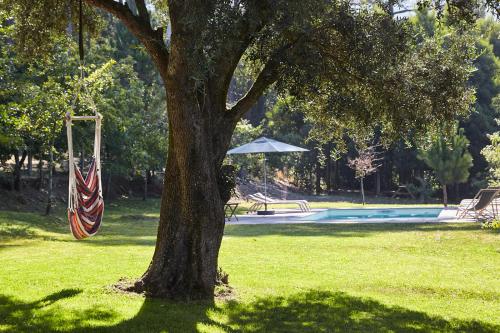 Casa da Oliveira gîte à louer Cruzinho