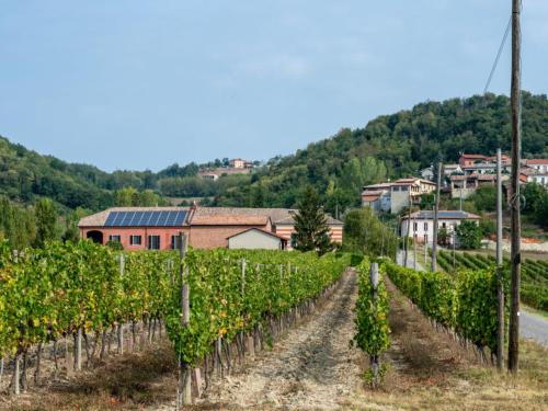 Cascina Olivetta -sleep in winery