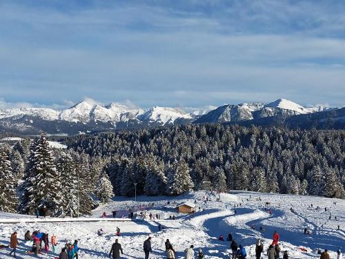Le clos des primevères
