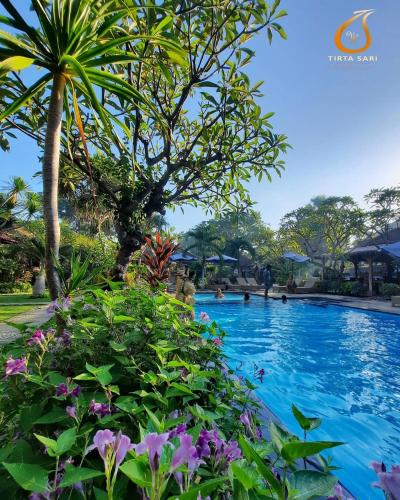 Swimming pool, Tirta Sari Bungalow in Pemuteran