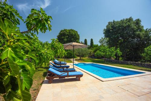 Villa Altura - image 3