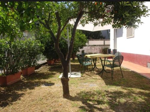 B&B Rivalta - Posillipo - image 5