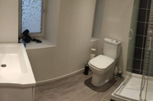 Ванна кімната, Appartement en plein centre ville d'Argentan in Argentan