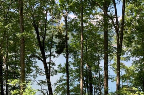 Lakeside Mountain Oasis