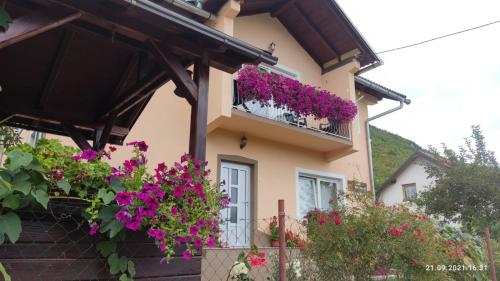 Guest House Šobić - image 5