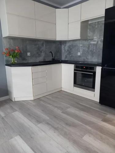 Apartaments Luxe in Skunu iela
