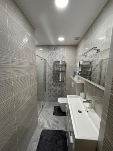 One-Bedroom Apartment image 2