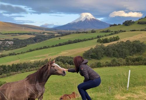 Balcon al Cotopaxi Hosteria - Photo 4
