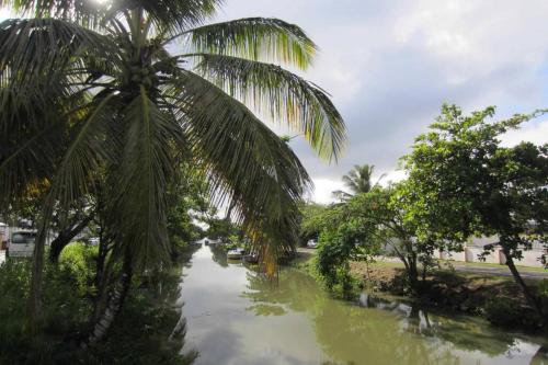 La Mistoine, Kaz creole entre ville et campagne