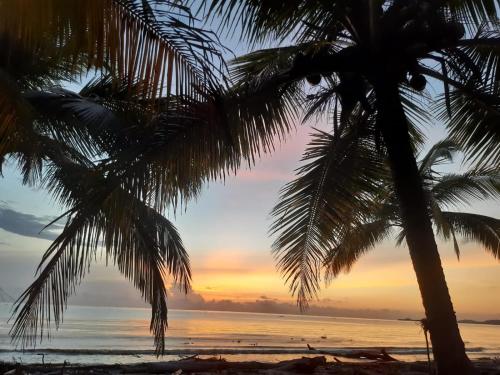 Kilátás, Cabañas El Olimpo (Cabanas El Olimpo) in Turbo