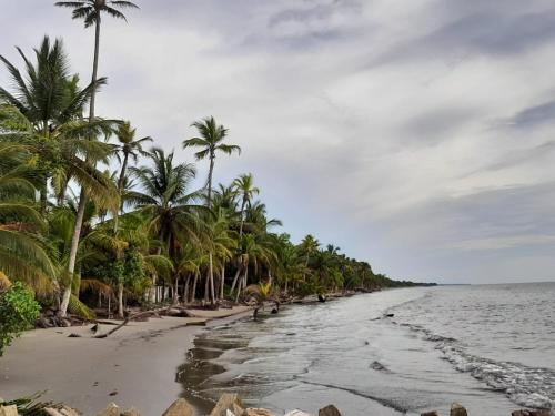 Strand, Cabañas El Olimpo (Cabanas El Olimpo) in Turbo