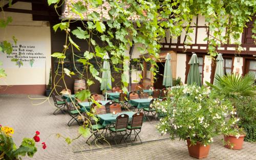 Seadmed, Weingut und Gastehaus Vongerichten in Bad Bergzabern