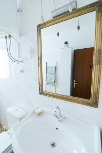 Apartment Glicinija Zadar