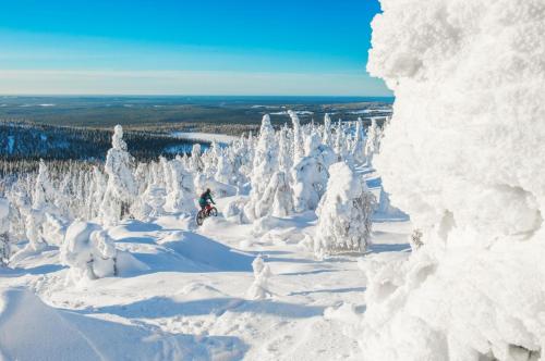 Cottage Kurmitta Iso-Syote in Syote