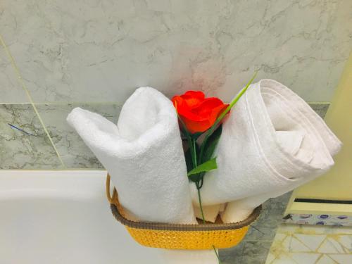 Chic Apartment Downtown Cairo