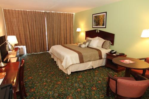 Hotel Chateaubleau - image 9