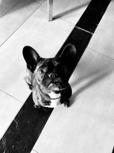 Albergo Zoello Je Suis Albergo Zoello Je Suis