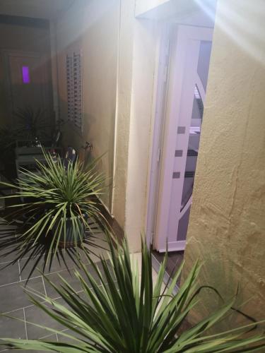 Apartments Ella, Split (zdjęcie 5)