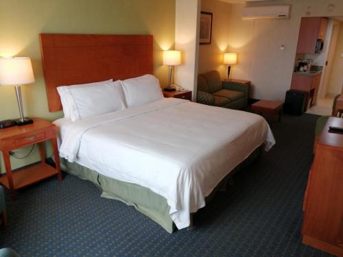 Holiday Inn Express & Suites Toluca Zona Aeropuerto, an IHG Hotel