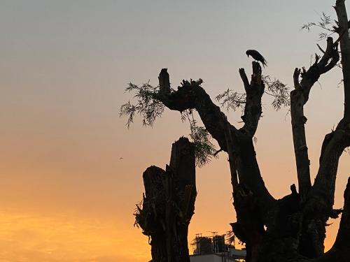 Birds Nest Hostel – Kathmandu, OH