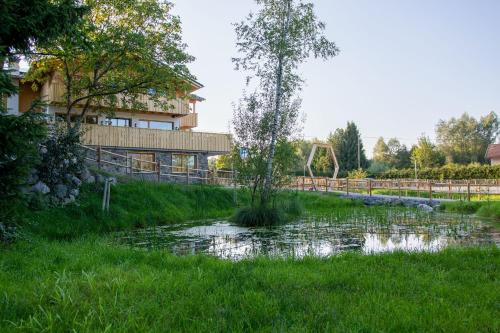 Der Bienenkorb - Apartment - Blaichach