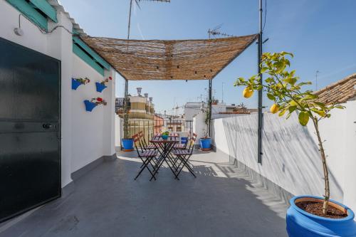 San diego alto - image 2