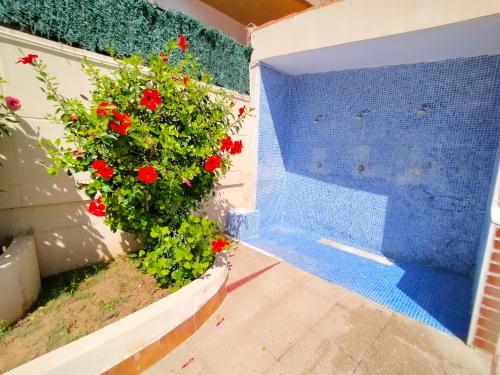 ACV - Acapulco I -1ªlinea planta 5 sur 2