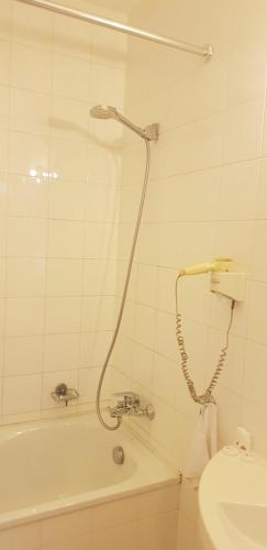 Hotel Amaryllis - image 2