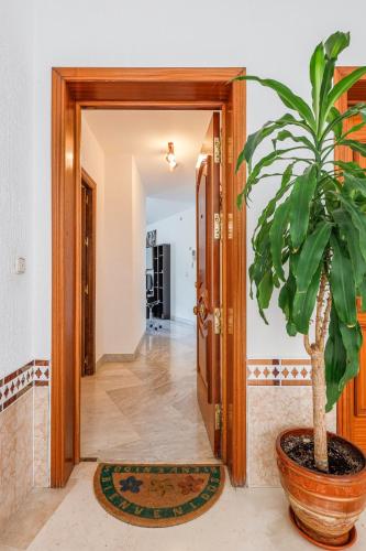 Apartamentos Alameda del Tajo Center