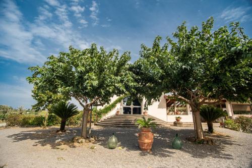 Un' Ottima Annata - La casa nel vigneto