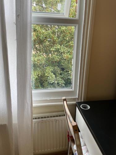Guest House quarto cama box Finsbury Park, Londyn (zdjęcie 5)