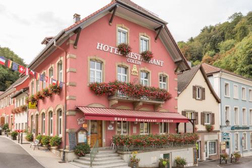 Hotel Restaurant Collin - Hôtel - Ferrette