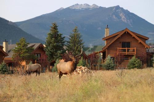Slice of Heaven just steps from Lake Estes! Indoor Outdoor Fireplace and Jacuzzi detail